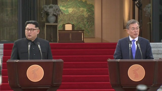 평화협정 관련 회담 빠른 시일 내 개최 추진 / YTN