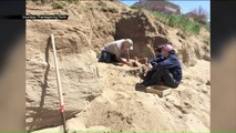 Utah Family Discovers Fossil Remains of Ancient Horse in Backyard