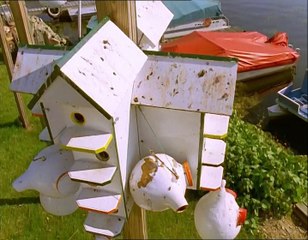 A Madarak Élete - 10. Az Alkalmazkodás Határai (The Limits Of Endurance)