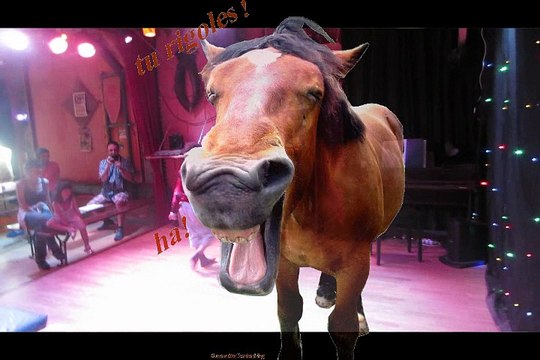 Les Profs; spectacle de fin de stage à la ferme du Fays dans l'Yonne