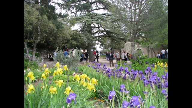 TRETS - St jean du puy Vu par francebleu 14/03/2018