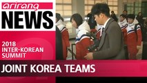 South Korea pushing for creation of joint Korea teams at 2018 Asian Games