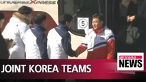 South Korea pushing for creation of joint Korea teams at 2018 Asian Games