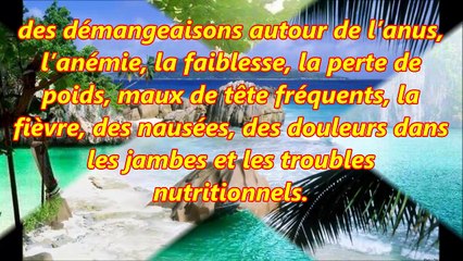 Les graines de citrouille, excellent moyen pour se débarrasser des parasites intestinaux