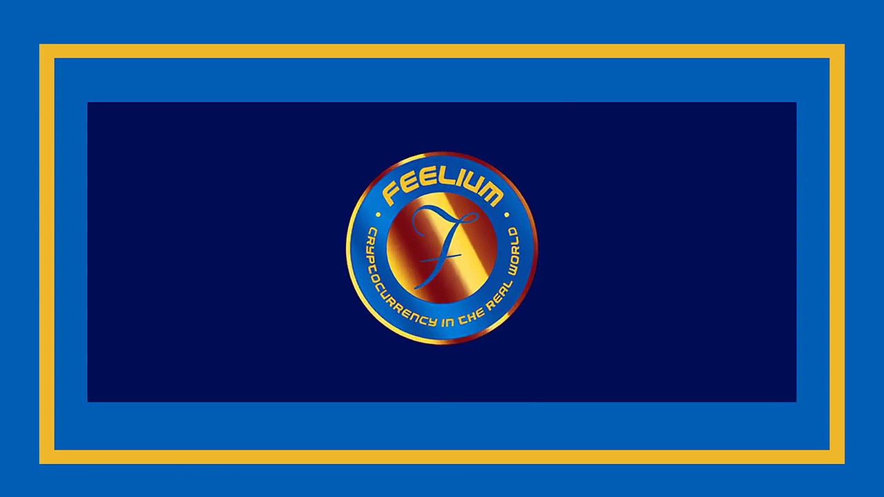 Why you should invest in the Feelium ?