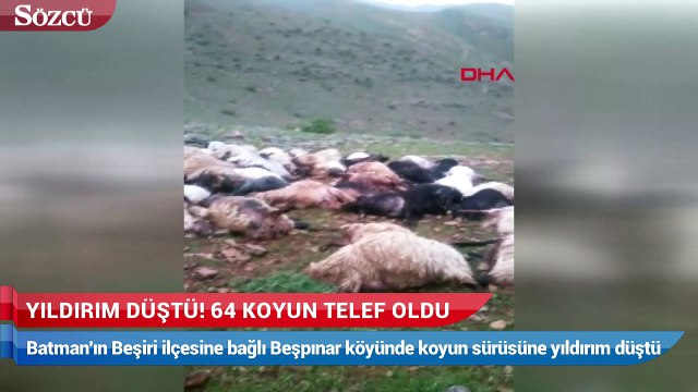 Batman'da yıldırım düştü 64 koyun telef oldu