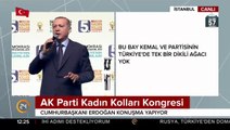 Cumhurbaşkanı  Erdoğan Kanal İstanbul için süre verdi