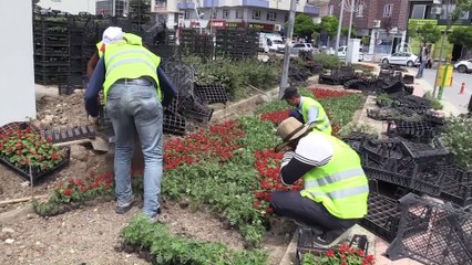 1 Mayıs'ı çalışarak geçiriyorlar - SİİRT