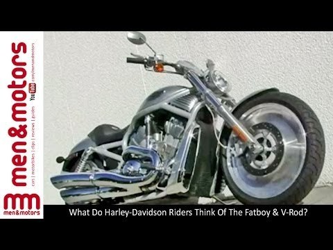 What Do Harley-Davidson Riders Think Of The Fatboy & V-Rod?