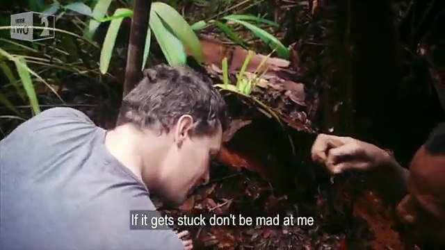 Une façon de nettoyer les oreilles spéciale