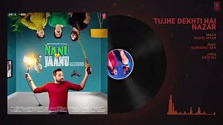 Tujhe Dekhti Hai Nazar Full Audio Song - Nanu Ki Jaanu - Abhay Deol - Patralekhaa - Mohd. Irfan