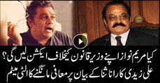 Will Maryam Nawaz take action against Rana Sanaullah? Ali Zaidi gives ultimatum on apology