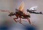 Marvel Studios' Ant-Man and The Wasp - Official Trailer (VO)