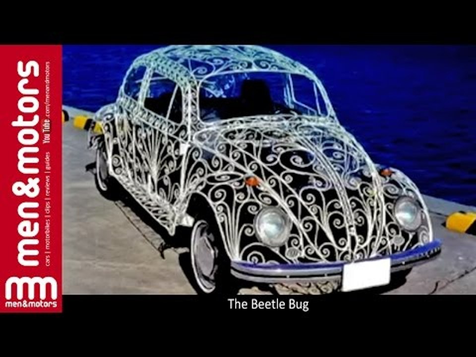 The Beetle Bug