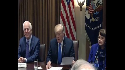 Trump’tan kongre üyelerine çağrı "Silah lobisinden korkmayın"