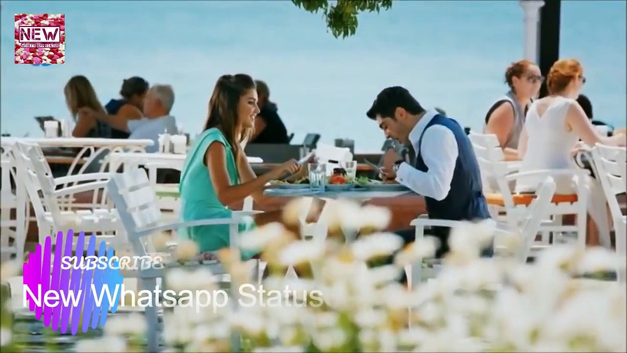 New Whatsapp Status