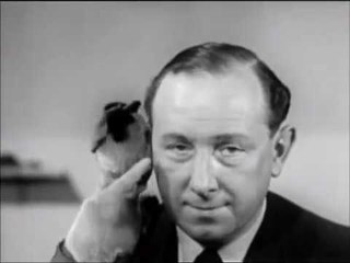 Sooty's Engineering Company | Kids Clubhouse