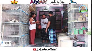 | CHIRYA GHAR PRANK | By Nadir Ali & Salty Sanata Ins | P4 Pakao | 2018 | Funny Prenk's and Funny Videos