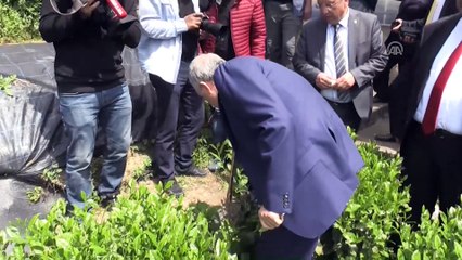 Fakıbaba: 'İnsanların mutlu olabileceği, kazandım diyebileceği bir ortam yaratmaya gayret ediyoruz' - RİZE