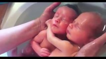 Twin Babies Who Don't Realize They've Been Born Yet