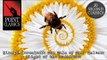 Rimsky-Korsakoff: The Tale of Tsar Saltan: Flight of the Bumblebee