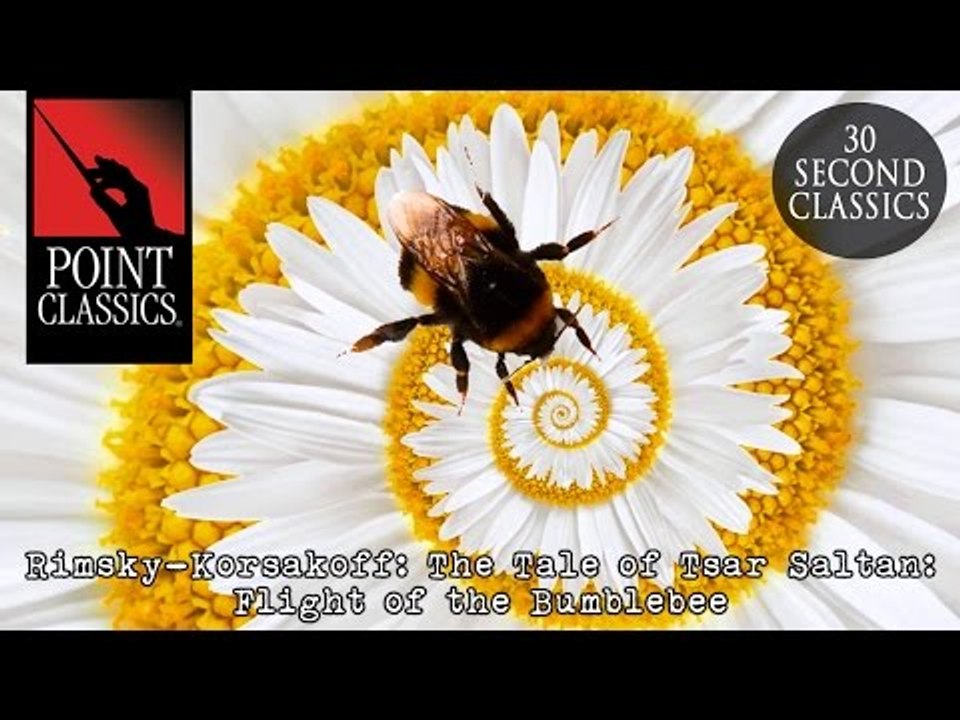 Rimsky-Korsakoff: The Tale of Tsar Saltan: Flight of the Bumblebee