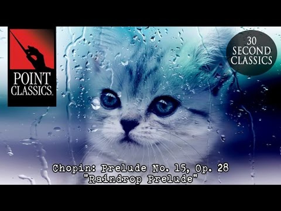 Chopin: Prelude No. 15, Op. 28 "Raindrop Prelude"