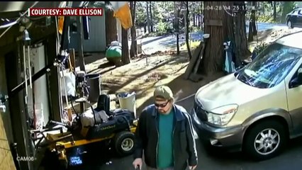 Man's Incredible Encounter With Bear Caught on Camera