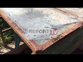 Report TV - Sarandë, AKU bllokon tregun e peshkut, nuk plotëson kushtet