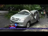 Sebuah Mobil Ringsek Tertimpa Pohon di Senopati - NET 24