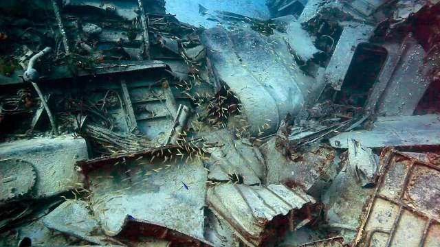 Cayman Islands: Tibbetts Wreck Cayman Brac