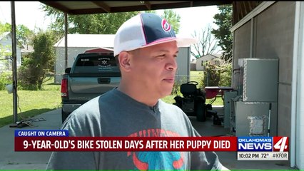 9-Year-Old Girl's Bike Stolen Just Days After Death of Her Puppy