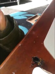 Une abeille adorable fait "coucou" en réponse à une fillette