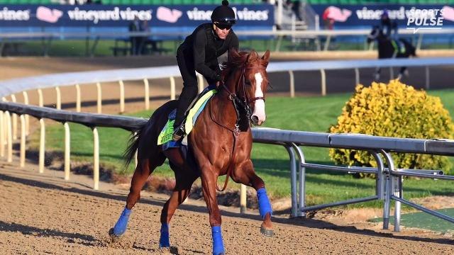Placing bets? The names you need to know for the Kentucky Derby