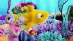 Baby Shark 3D Doo Doo Doo Nursery Rhymes and Kids Songs