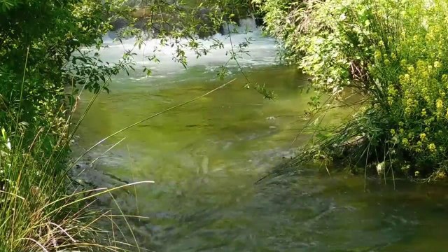 Relax sonidos de agua /birdsong /nature sounds /Relajacion.