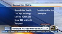 Several companies now hiring in the Valley