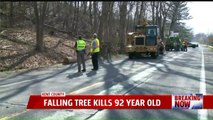 Elderly Man Killed When Tree Falls on SUV in Michigan