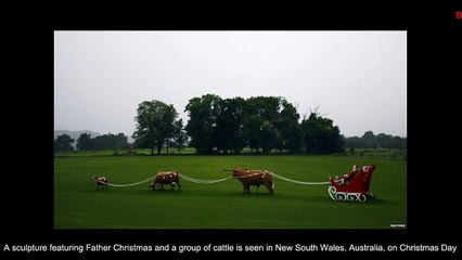 Recovery is coming says the Wall Street