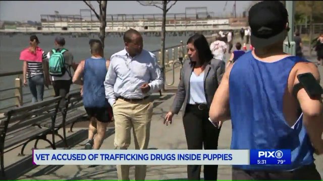 Veterinarian Accused of Smuggling Heroin in Puppies` Bellies Makes First Court Appearance