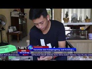 Berbagai Macam Koleksi Hewan Ekstrem -NET24