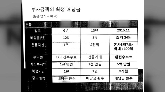 고수익 보장 투자금 수백억 꿀꺽...보험설계사도 끌어들여 / YTN