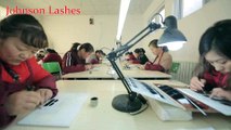 johnsonlashes Wholesale Mink Lashes factory 3D Mink Lashes manufacturer 3D Silk Lashes and Horse Lashes