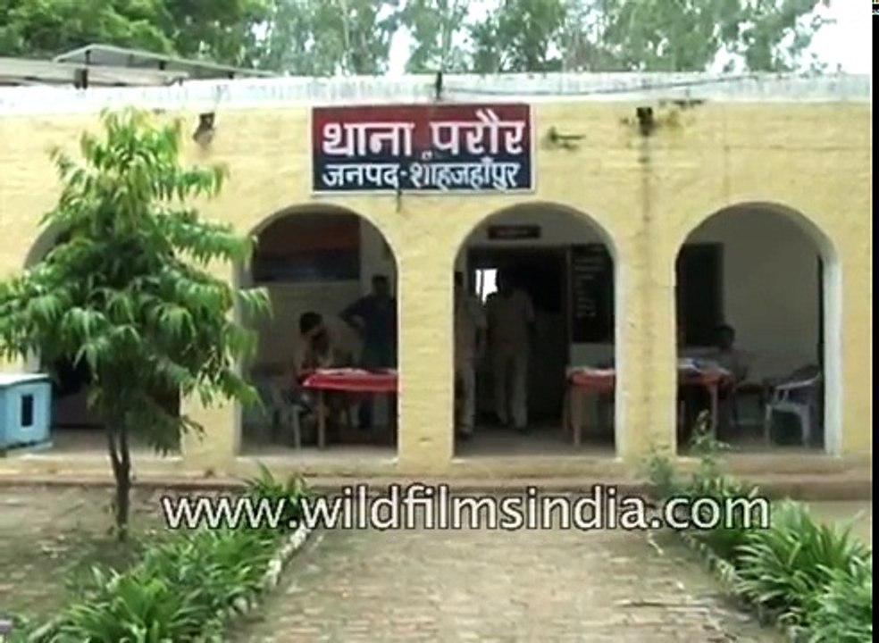 Graphic and disturbing : Brothers behead teenage sister in Shahjahanpur, parade her severed head