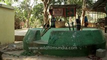 India's Well of fertility in Badaun, Uttar Uttar Pradesh