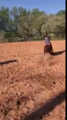 Monter un mini-poney c'est pas si simple !!! HUE !