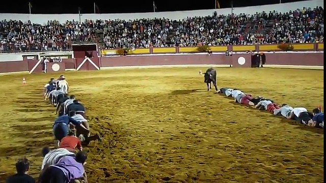 1..2..3.. Soleil contre un taureau en pleine arène ! Chaud...