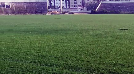 Substrat élaboré Fibrescape et gazon en développement par ART DAN sols sportifs