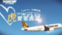 2015 Air Surprise | 求婚紀錄 at Tiger air Taiwan