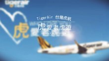 2015 Air Surprise | 求婚紀錄 at Tiger air Taiwan